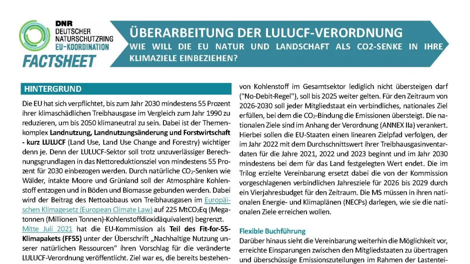 Screenshot vom aktualisierten Factsheet zur LULUCF-Verordnung